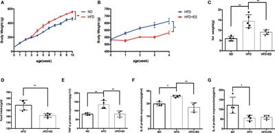 Electroacupuncture Stimulation Regulates Adipose Lipolysis via Catecholamine Signaling Mediated by NLRP3 Suppression in Obese Rats